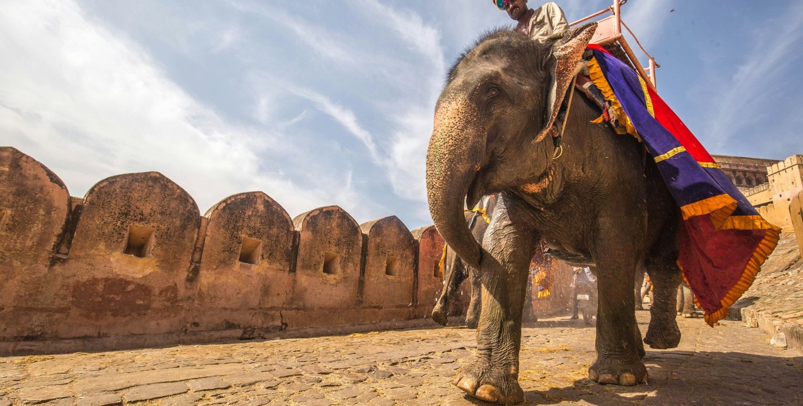 15-Day Bhutan Spiritual &amp; Meditation Yogananda Trail